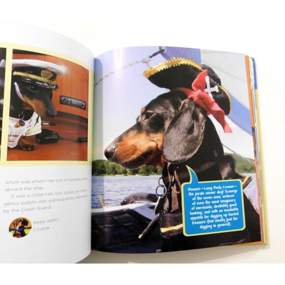 Crusoe Adventures Of The Wiener Dog Extraordinaire Ryan Beauchesne 2015 1st EdHB - Picture 5 of 7